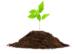 Compostable